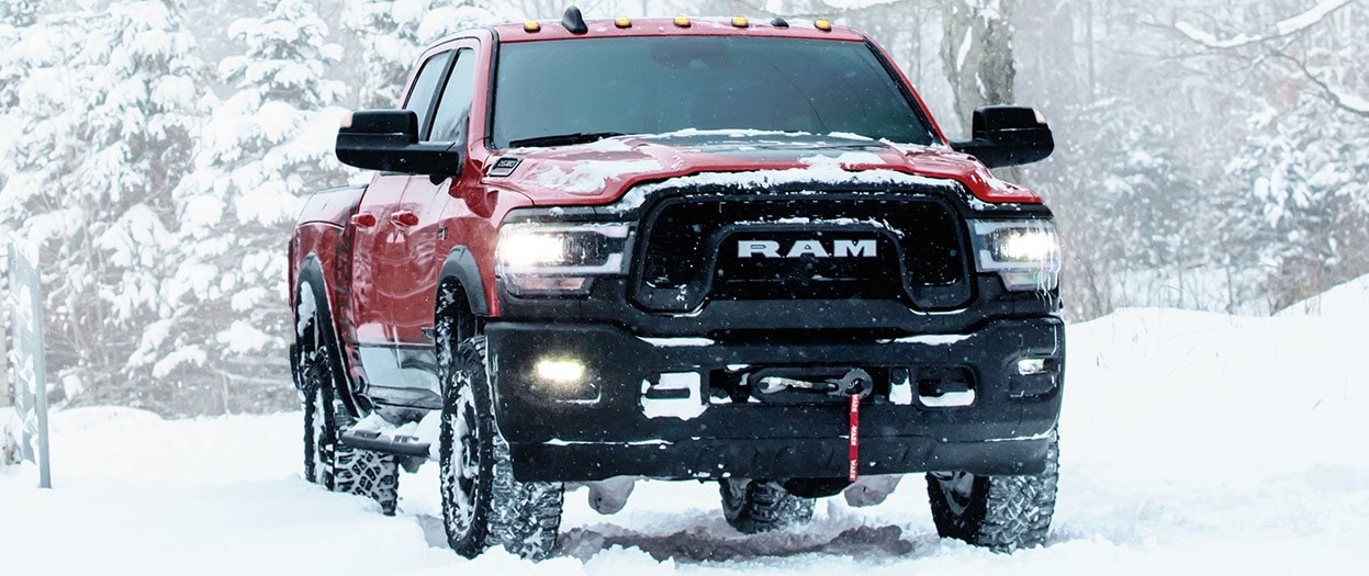 2020-winter-ram in winter.jpg
