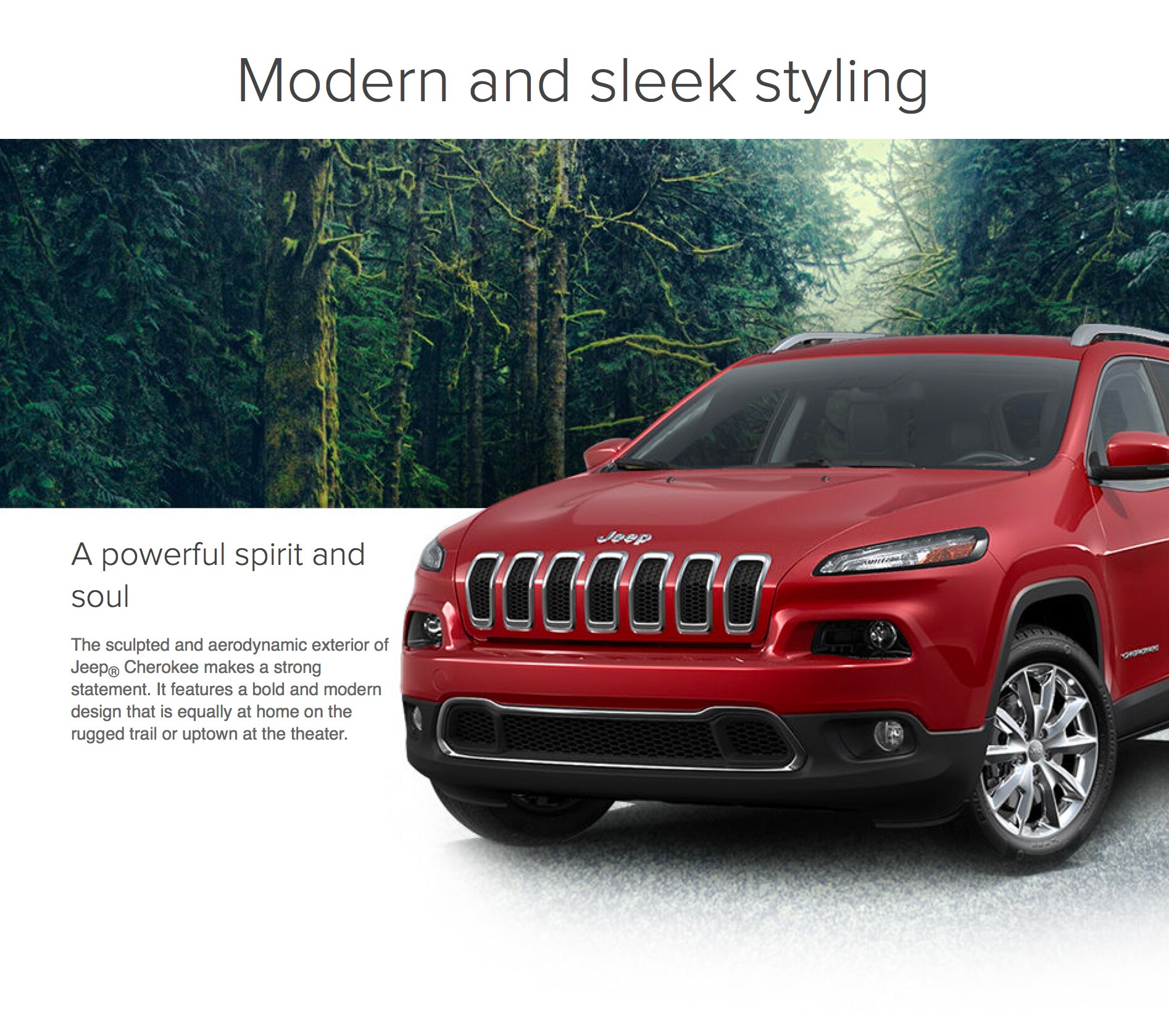 modern_sleek.jpg
