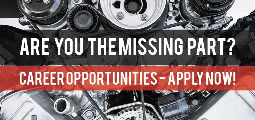 original-381a-15_career_opportunity_page.jpg