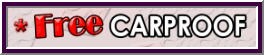 express_pass_tagCarprf.jpg