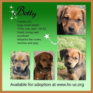 betty.jpg