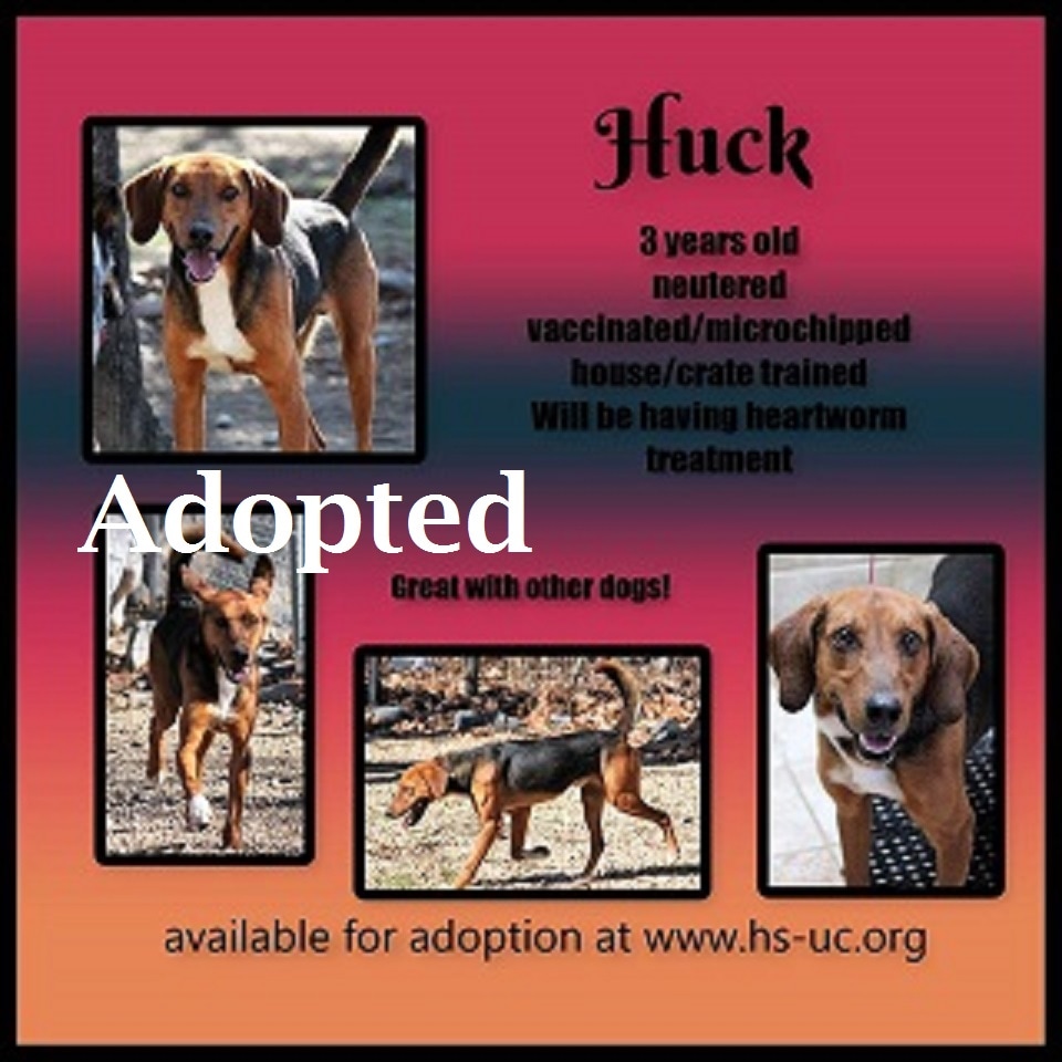 huck.jpg