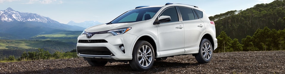 New 2018 Toyota RAV4 Orange TX