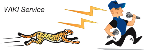  WIKI_Image.png