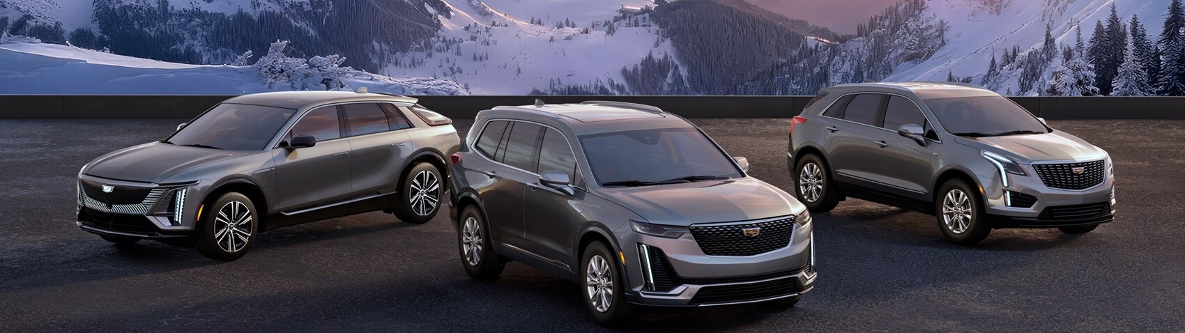 2025 Cadillac XT5 For Sale in Houston