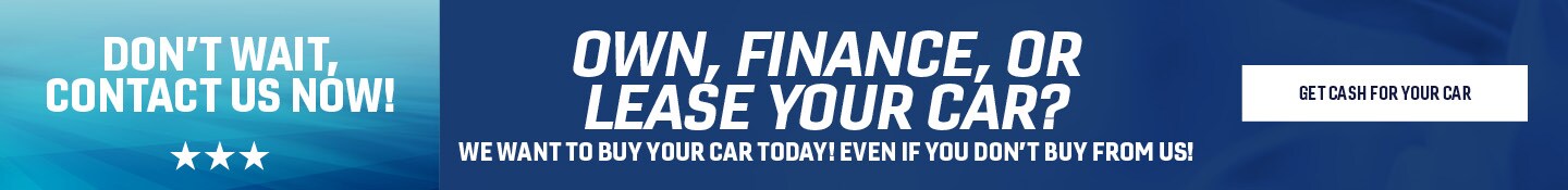 We Want Your Car