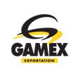 logo_gamex.jpg