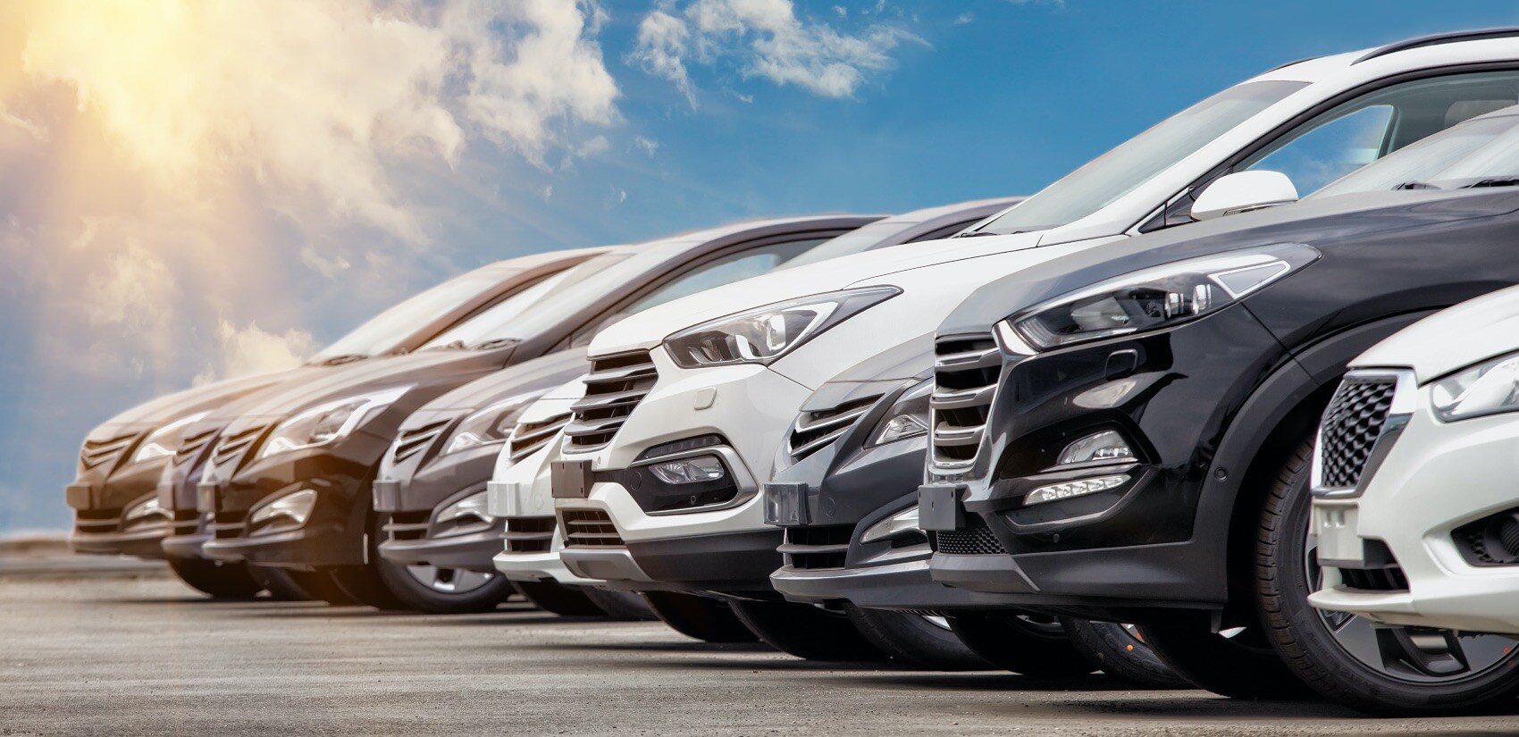New Car Lineup