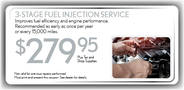 3 stage fuel injection flush