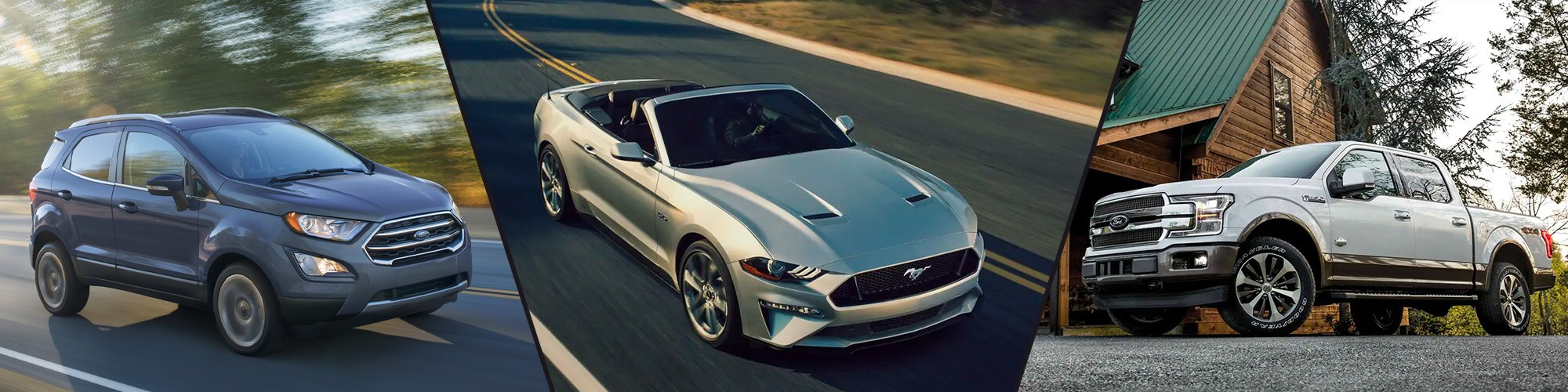 2019 Ford Models