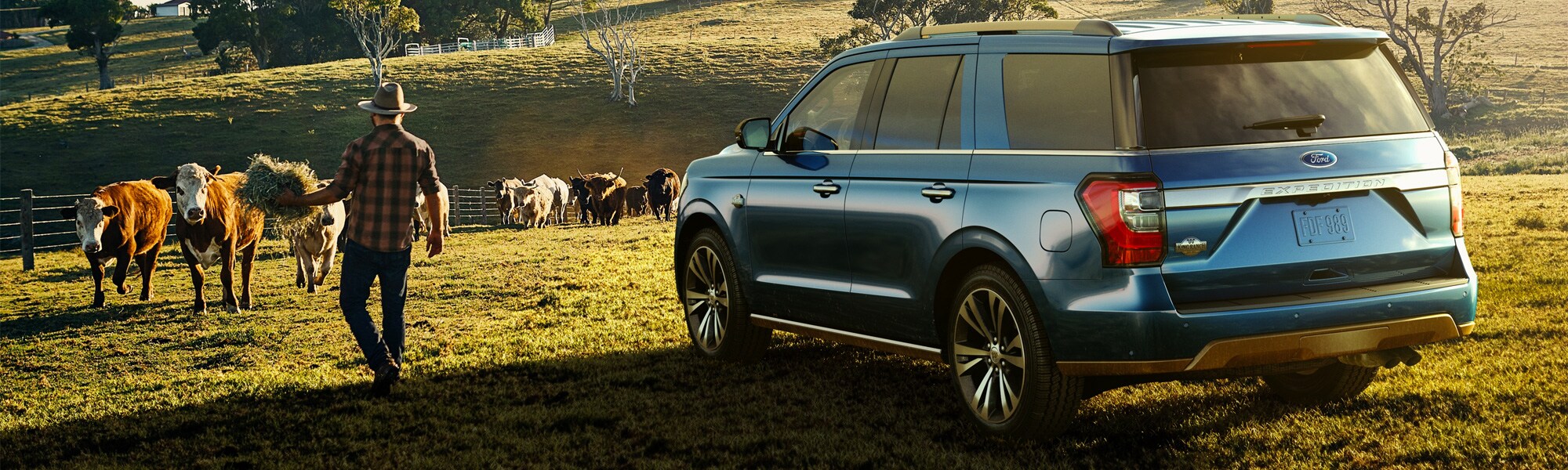 2020 Ford Expedition for sale