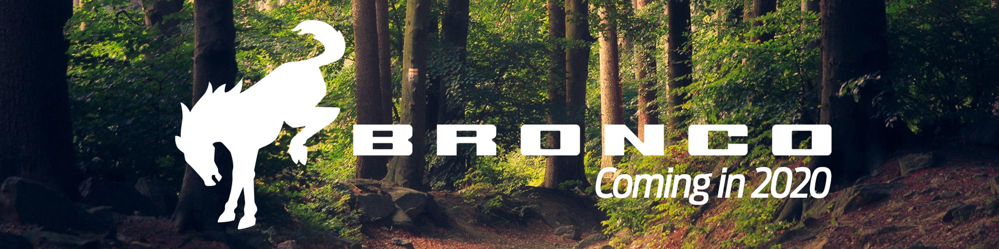 2021 Ford Bronco