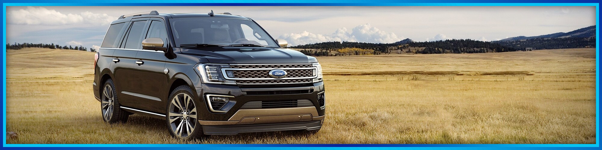 2021 ford expedition for sale