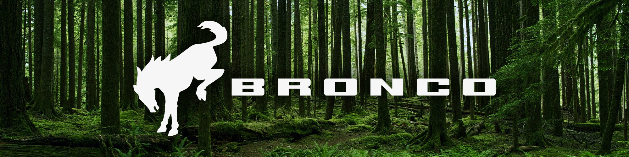 2021fordbronco