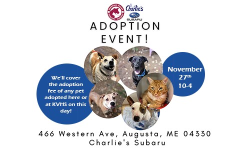 Adoption Event Flyer 11-27-transparent-SP.png