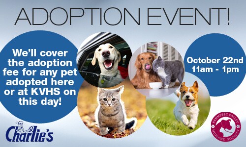 2022-09-charliessubarusne-11990877-Adoption-Event-SP.jpg