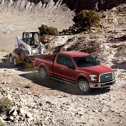 2015 Ford Models 2015 Ford Models