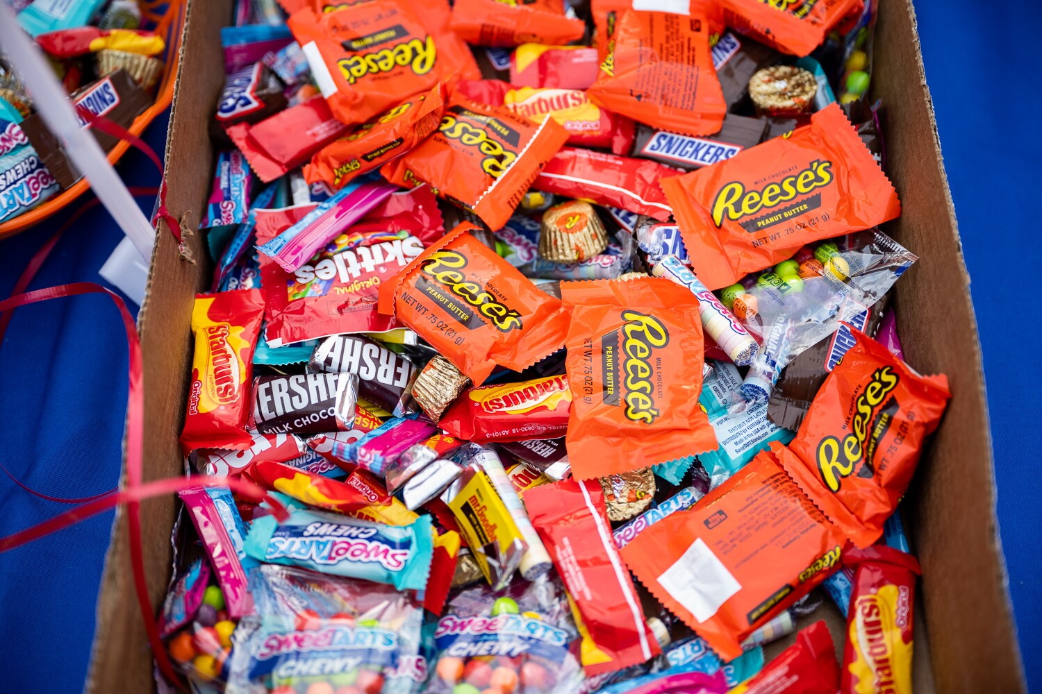 2021 | Trunk-or-Treat