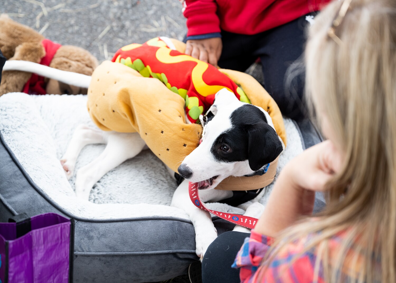2021 | Trunk-or-Treat