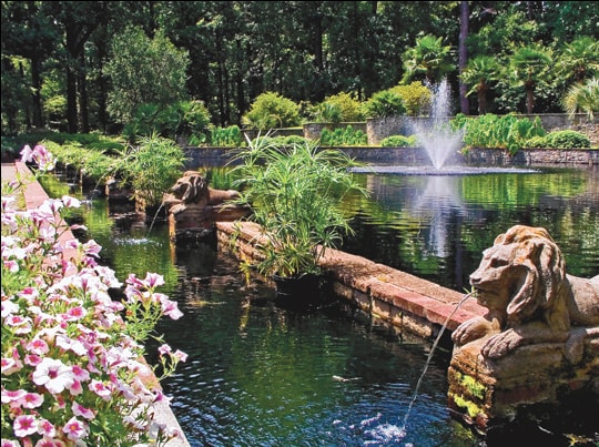 botanical gardens.png