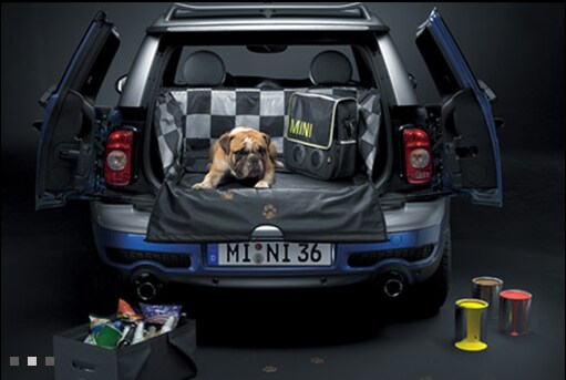 mini dog.png