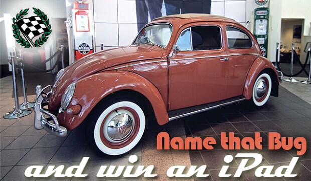 Name that Bug.png