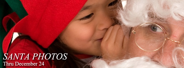 santa.png