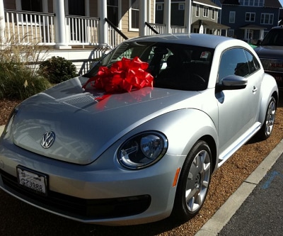 St. marys silver 2012 beetle.png