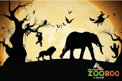 zoo boo.png
