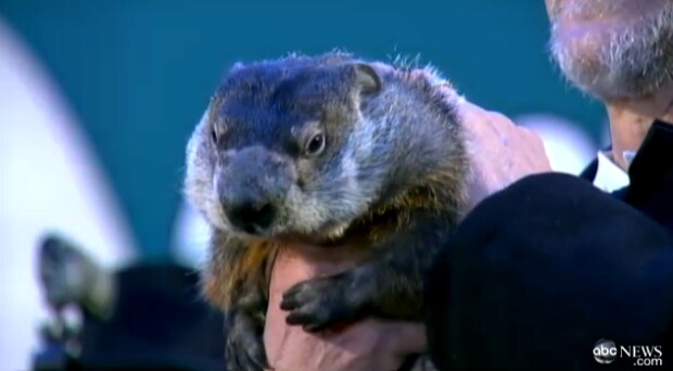 Groundhog Day.png