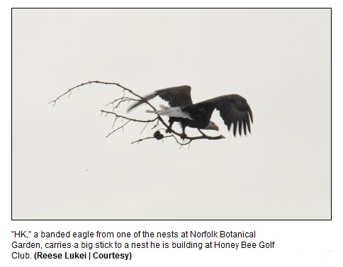 eagle golf course.png