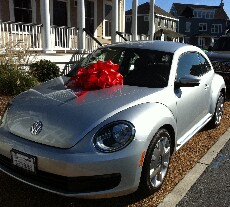 st. mary's beetle.png