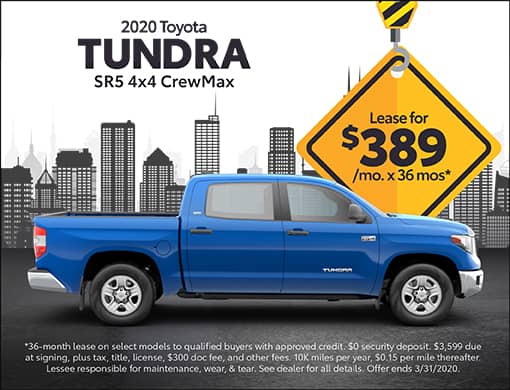 Tundra