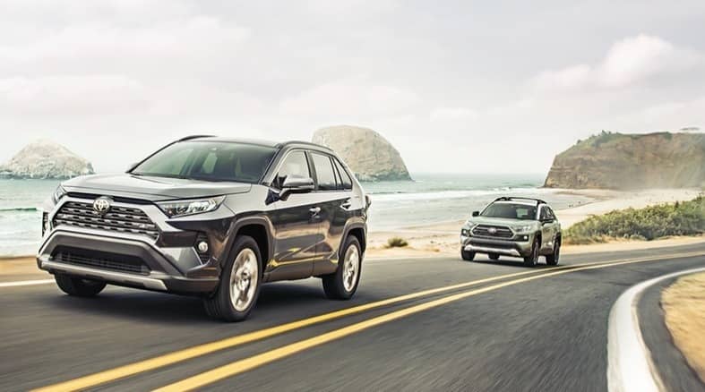 2019 Toyota RAV4