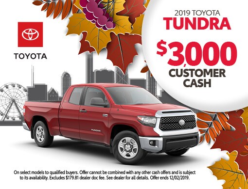 tundra