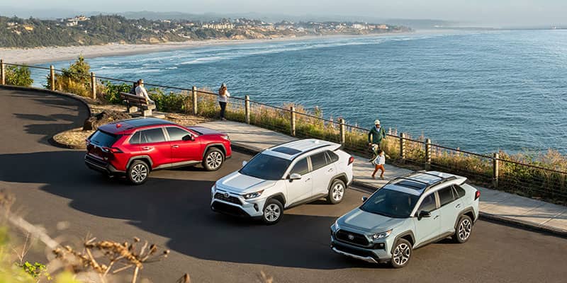 2019 Toyota RAV4 Models