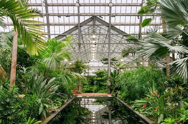Garfield Park Conservatory