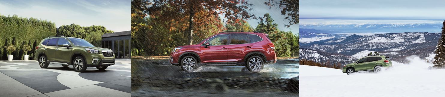 2019 Subaru Forester trio.JPG