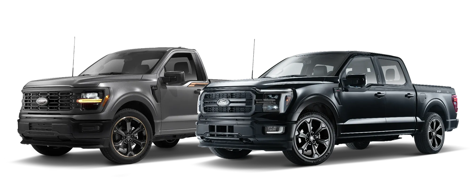 FP700 Black or Bronze Editions