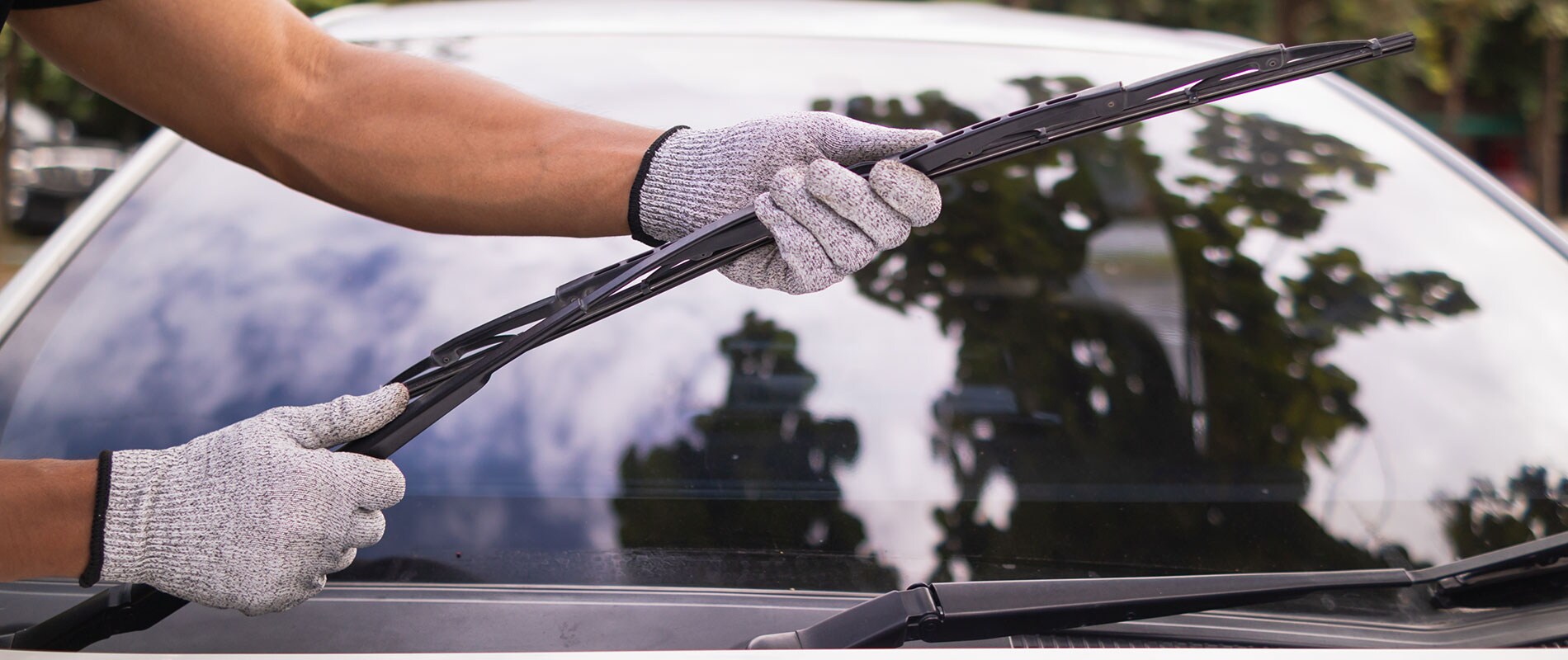 Wiper Install & Replacement
Technician inspecting a customer's windshield wiper