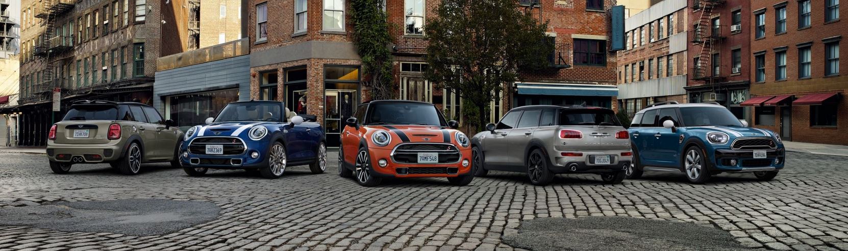 2019 MINI Family.JPG