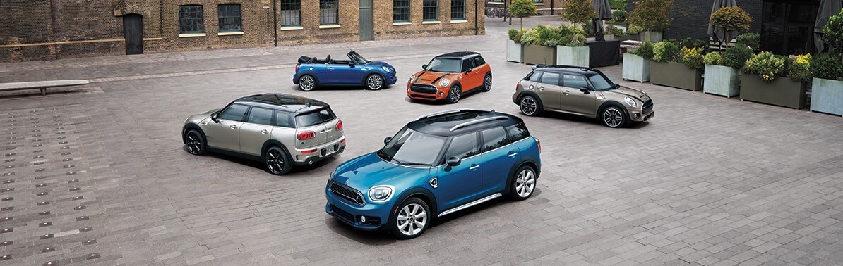 MINI Family 2019 new.jpg