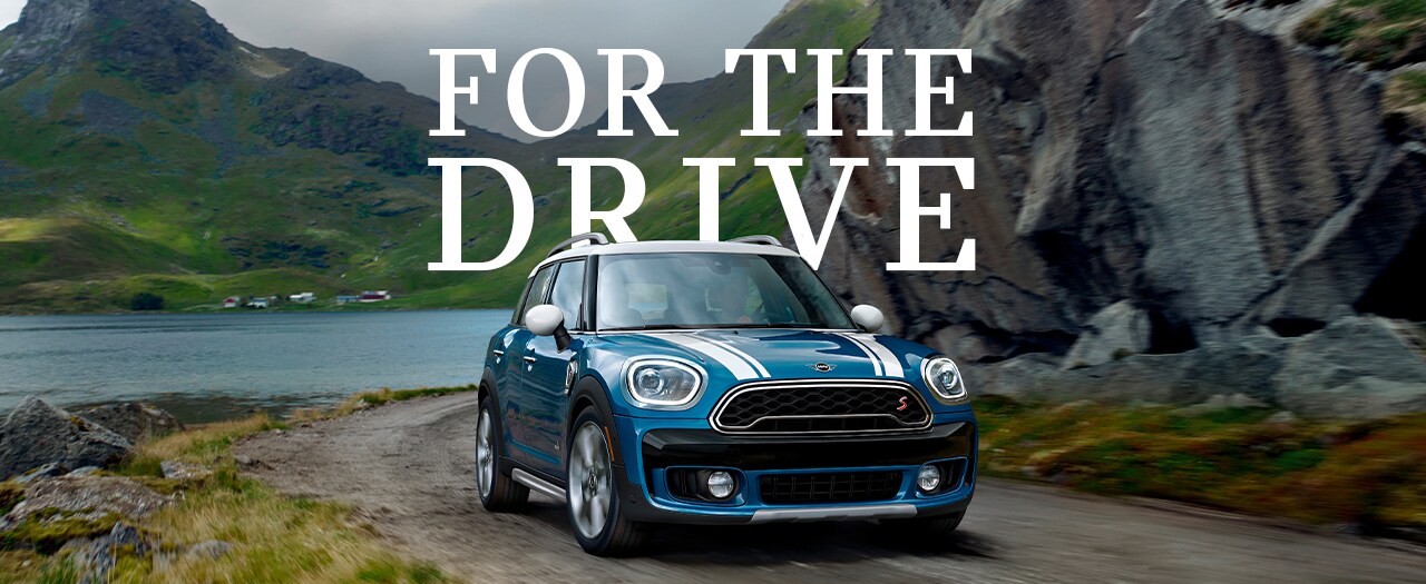 Countryman FTD.jpg