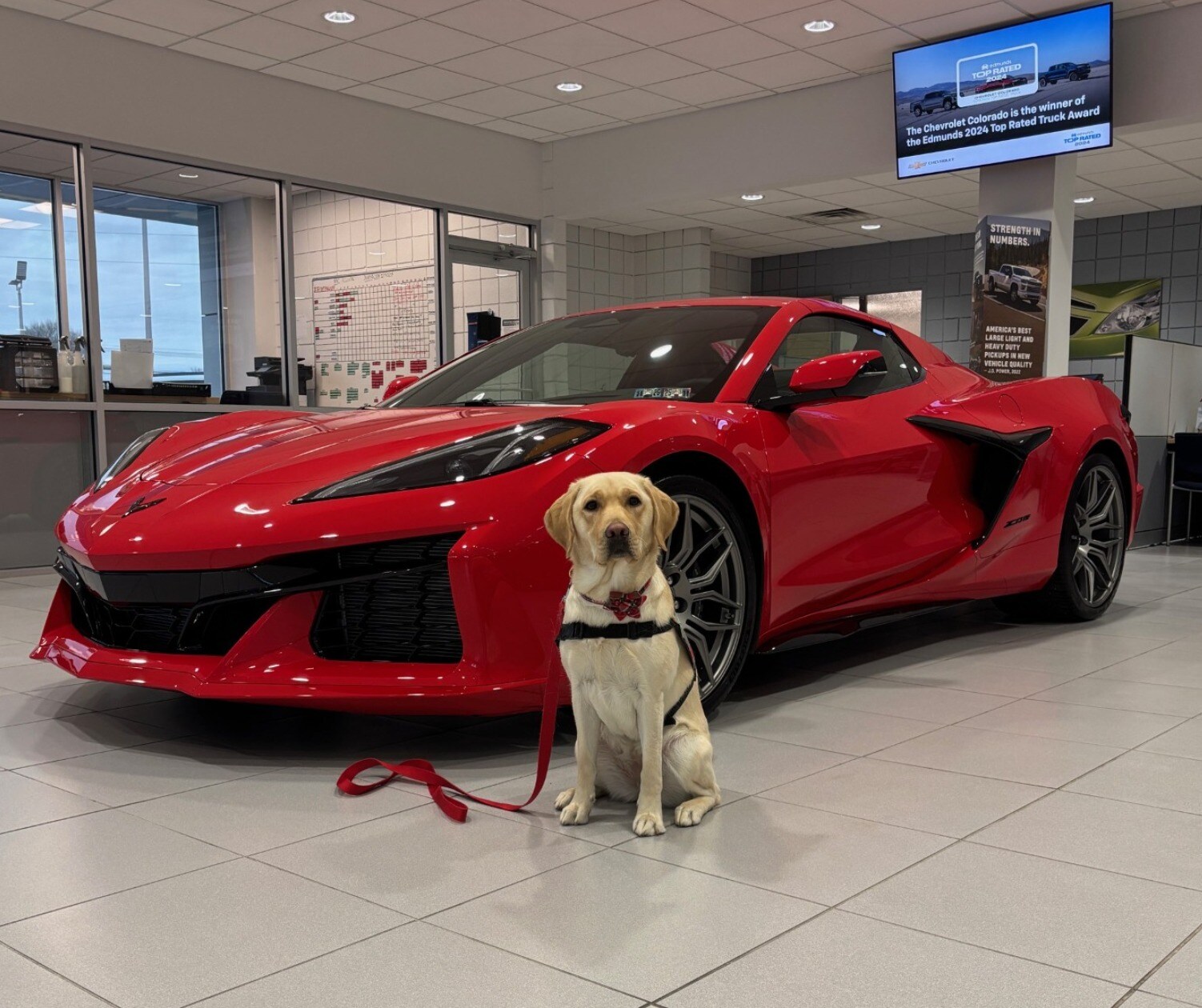 CHEVY%20YORK_1.jpg