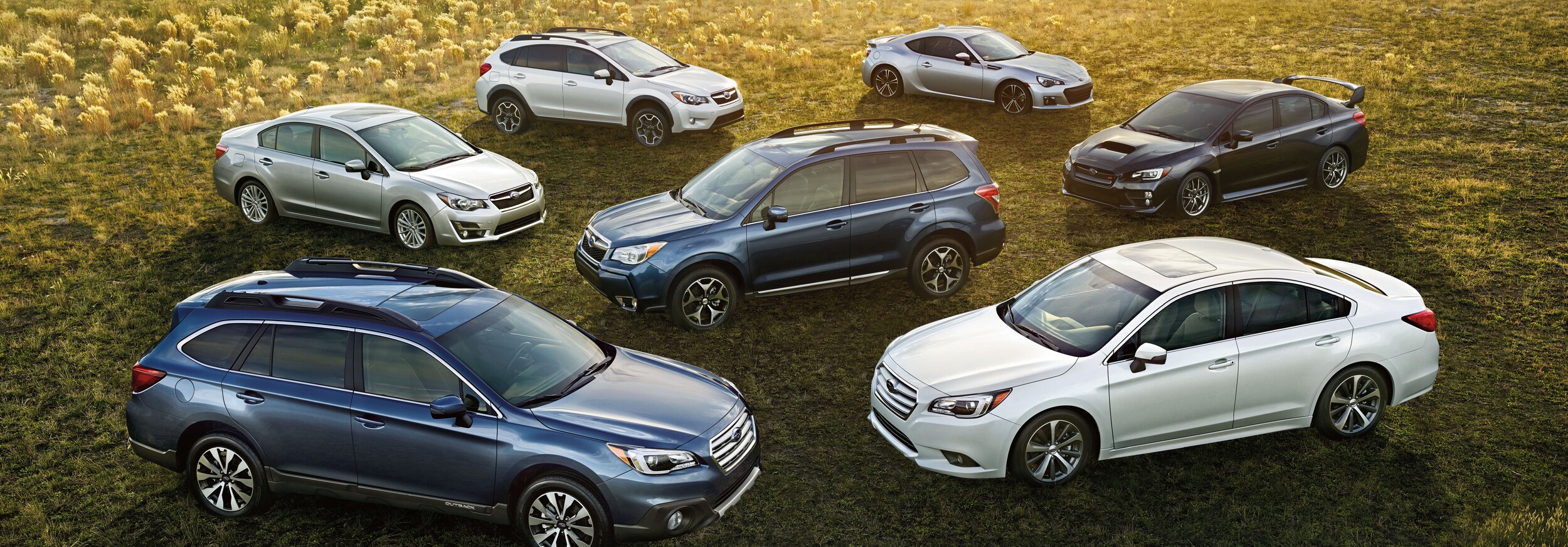 Schedule your test drive at Ciocca Subaru