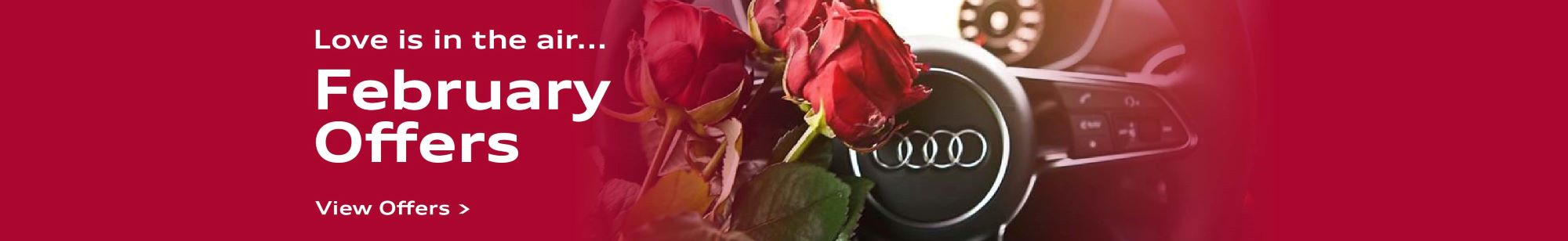 Audi Special Banner-FEB-32.jpg
