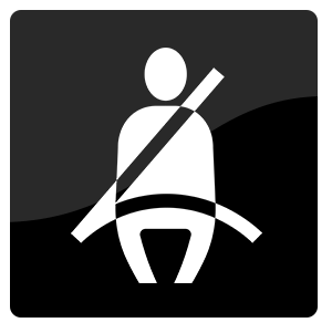 bmw saftey belts icon.png