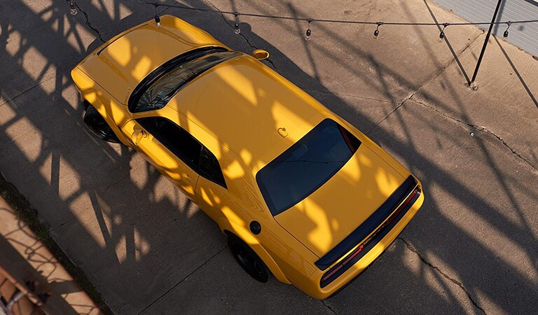 New 2019 Dodge Challenger Dade City FL