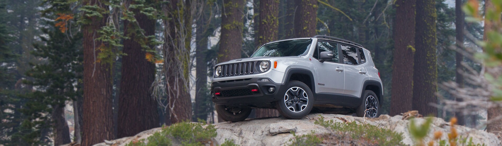 Jeep Renegade.jpg