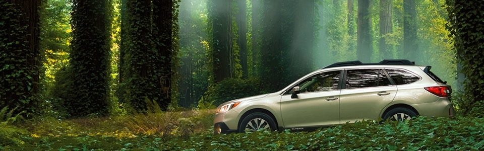 2016-Subaru-Outback-Wagon.jpg